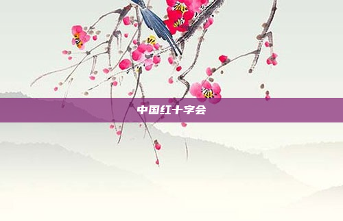 中国红十字会