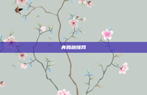 奔腾融媒网