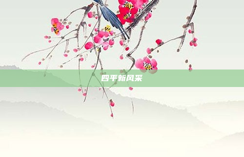 四平新风采