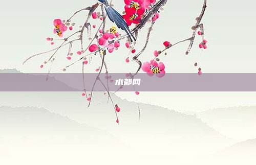 水都网