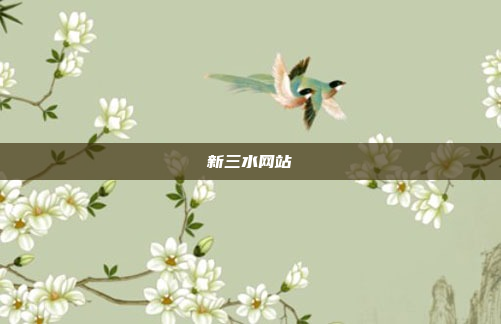 新三水网站