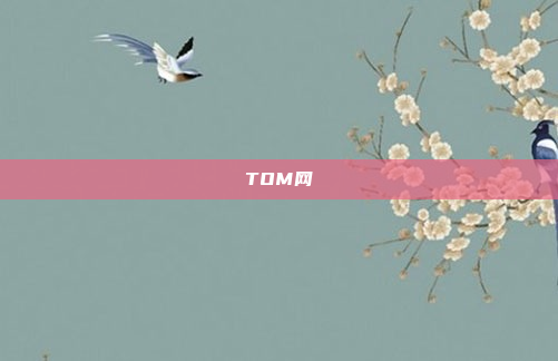 TOM网
