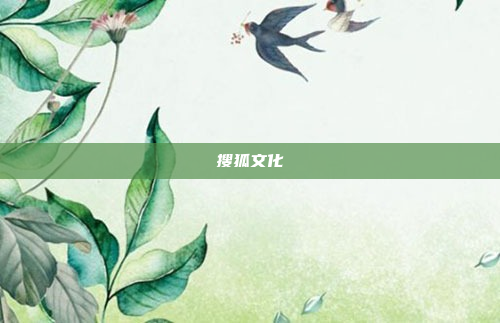 搜狐文化