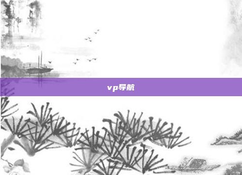 vp导航
